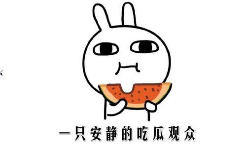 抖音黑料吃瓜网站,吃瓜网站带你探秘网红幕后真相