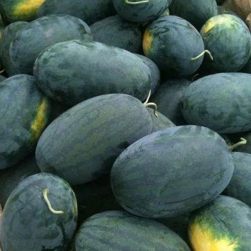 奇葩汇总黑料吃瓜,盘点那些让人瞠目结舌的奇葩黑料大揭秘